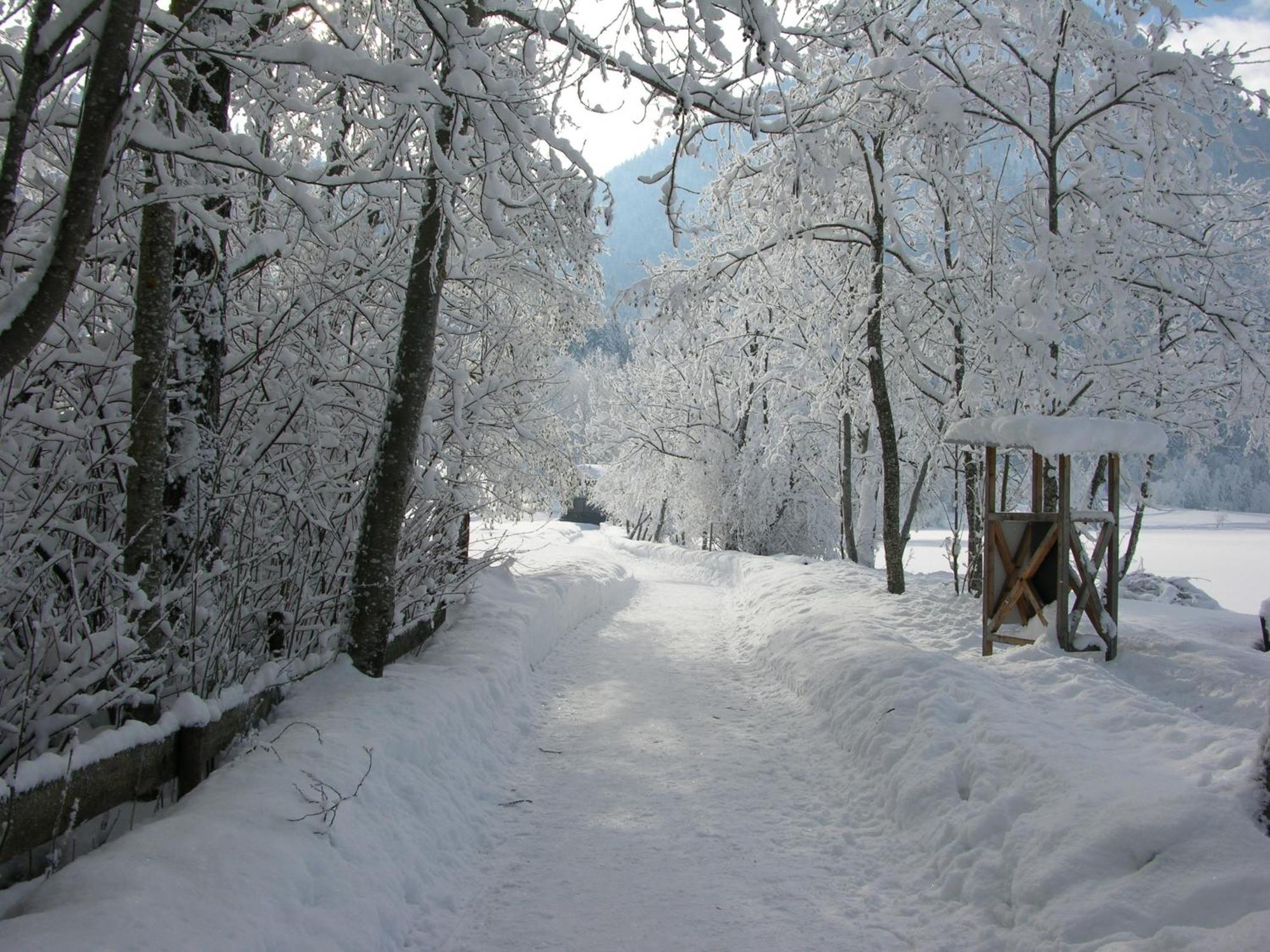 Haus Seeblick Am See Thiersee Bagian luar foto